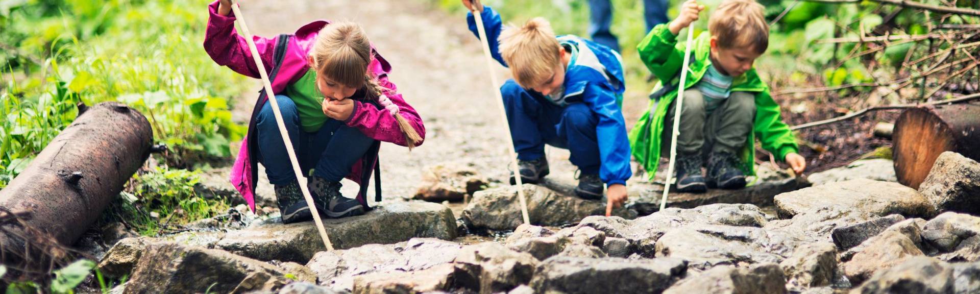 2 Boys and 1 girl in pink, blue and green rain jackets exploring the water flowing through a stream while they are on a nature excursion with Ubuntu School of Elements in Winterthur, Canton Zurich.