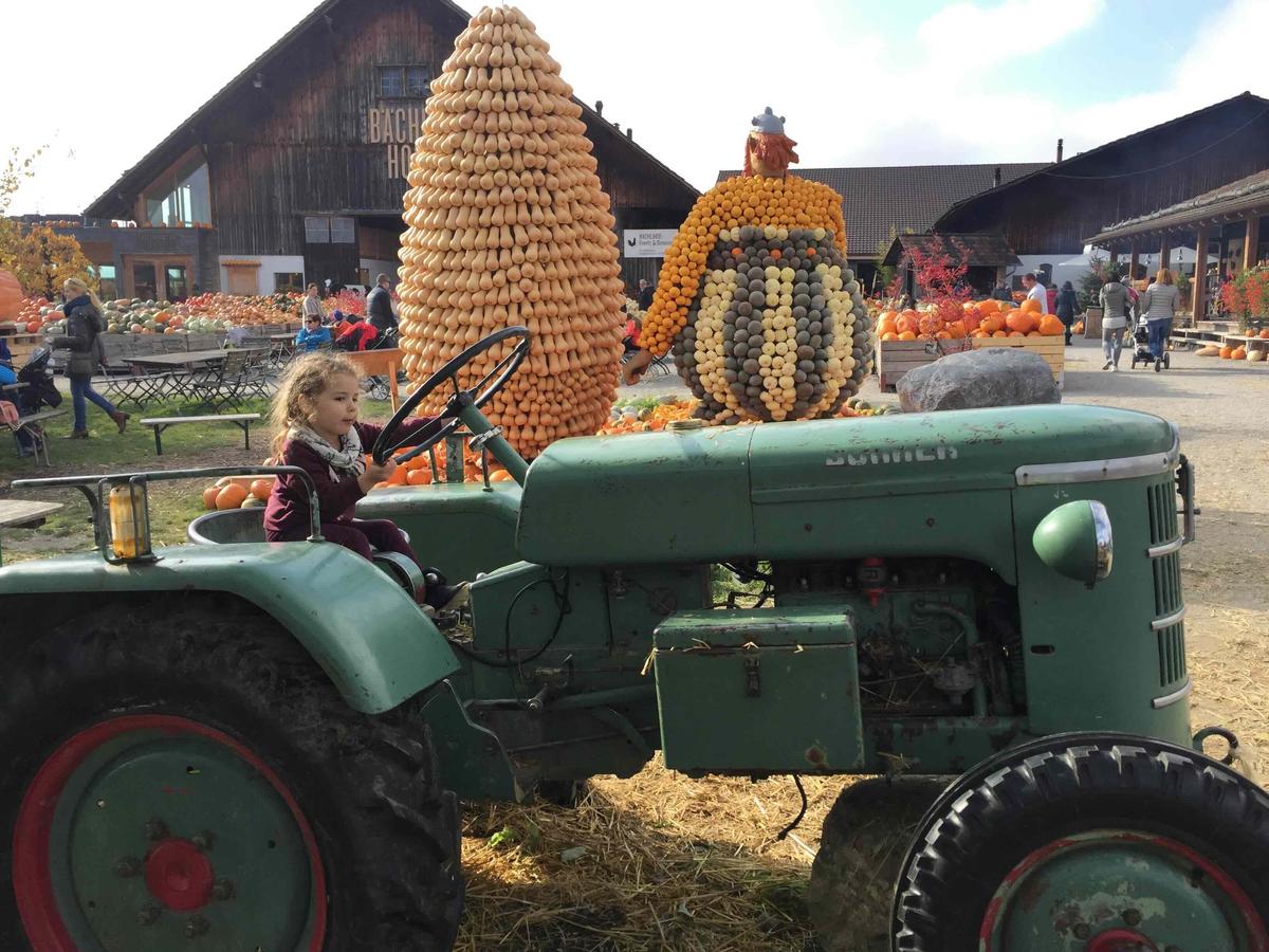 The annual pumpkin sculpture expo at Baechlihof Jona in Rapperswil.  Children can climb on tractors near the playground. 