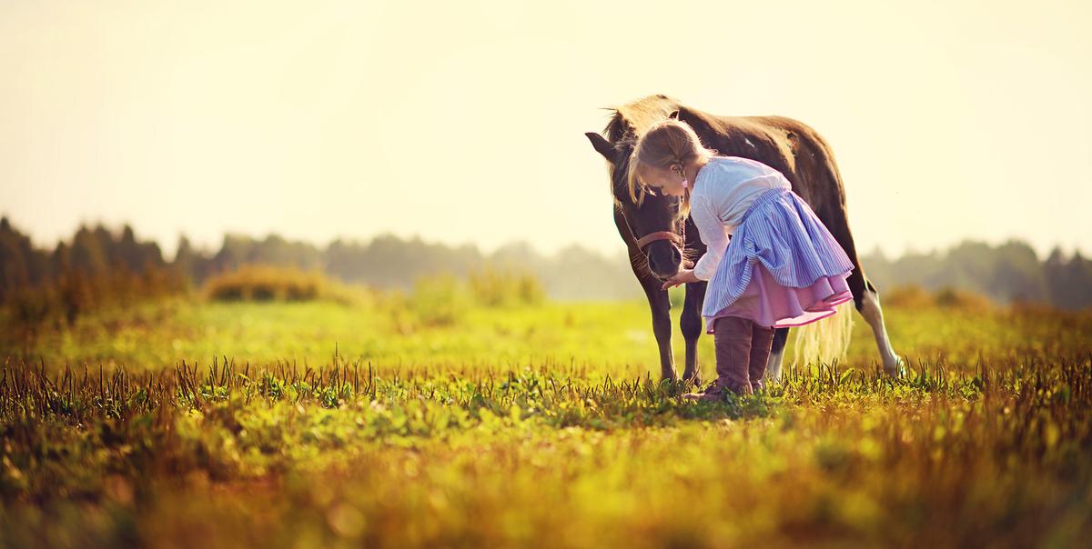 farm animals girl horse