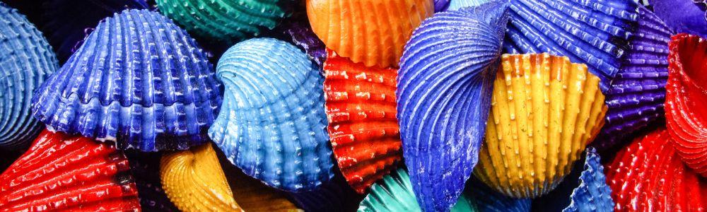 Sea shells painted in blue, red, orange, purple and torquise, all mixed together as part of children's crafts during the summer time.  A great idea for a creative pass time during the summer days with kids.  