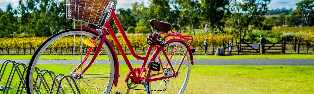 Bright pink bicycle with a wicker basket parked in a bike rack on a sunny day, with a vineyard, trees, and a wooden fence in the background.