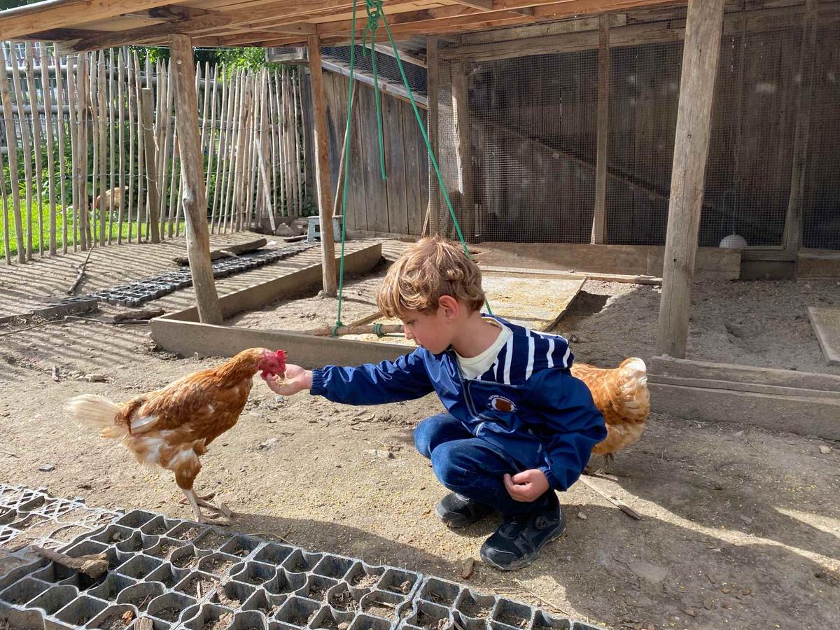 A young boy feeding chickens at a birthday party for kids at the farm Hof Narr in Hintereg 