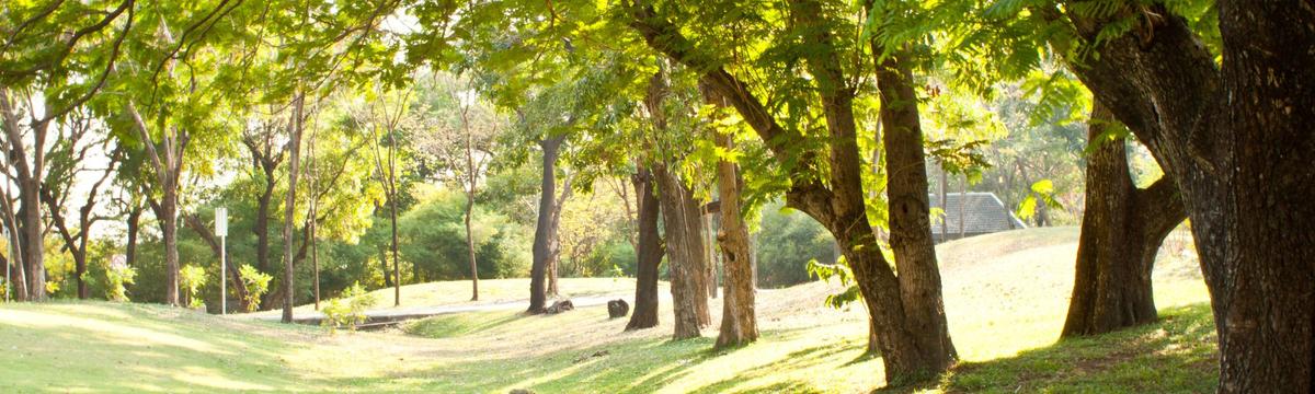 Children playing on a colorful playground surrounded by lush greenery in Park im Grünen, Münchenstein