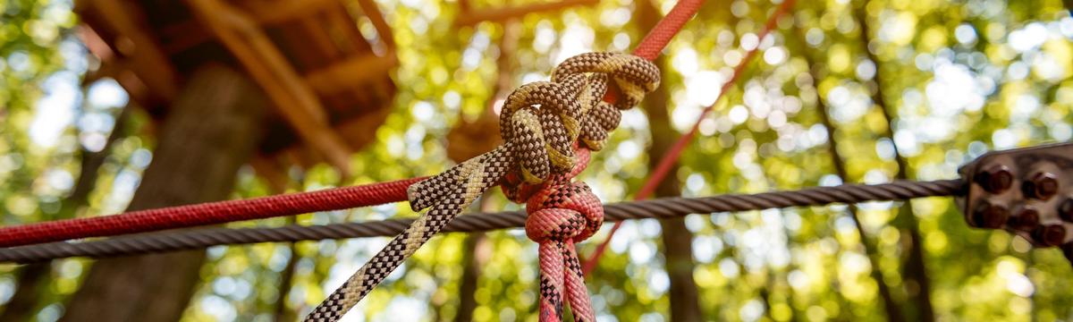 A young adventurer scaling the 20-meter-high 'Climbing Snake' at Rigi Rope Park, a thrilling vertical challenge among the trees.