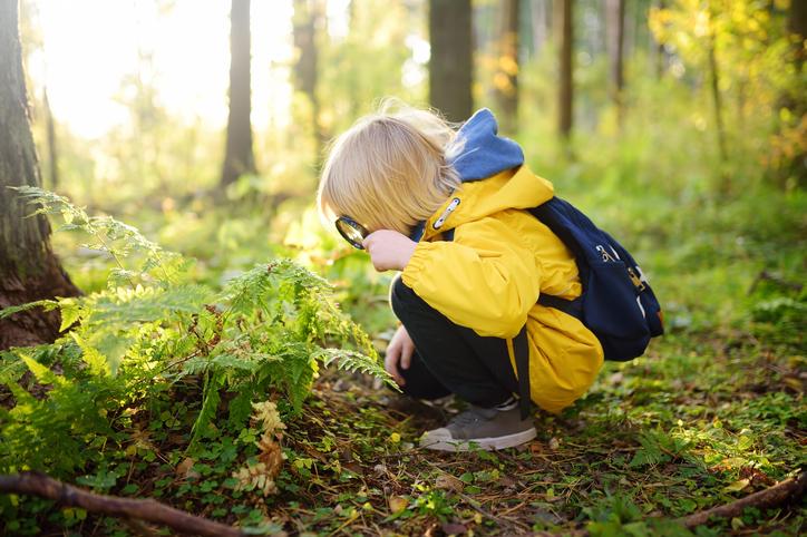 kid forrest exploring nature